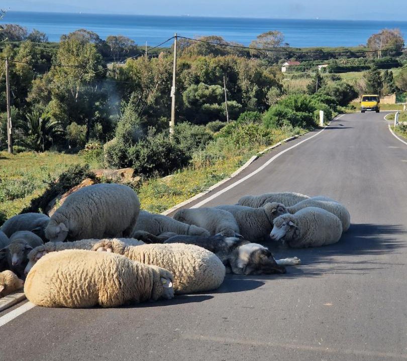 Photo of Others in Tarifa