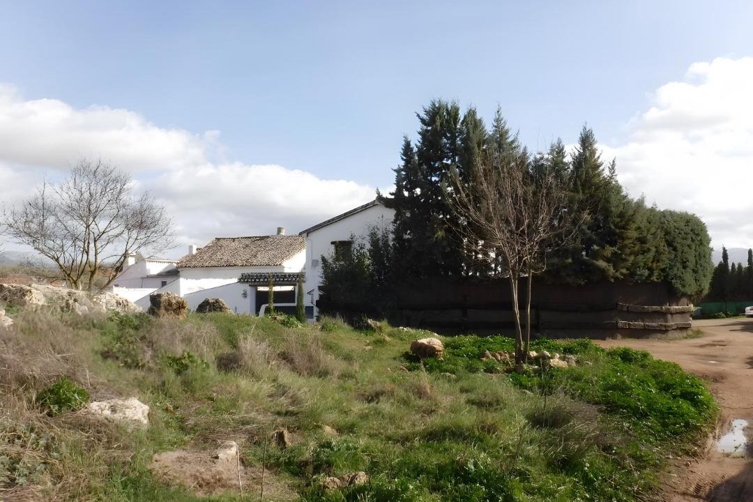 Photo of Others in Archidona