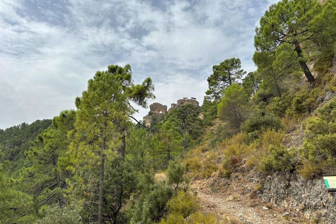 Photo of Others in Siles