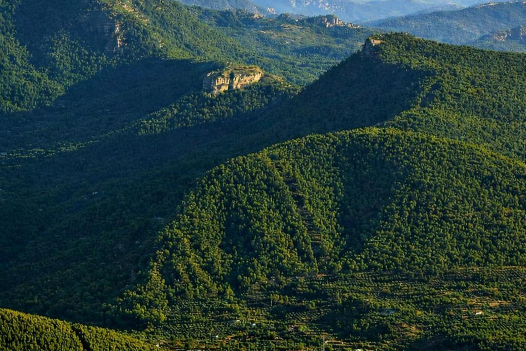 Photo of Others in Siles