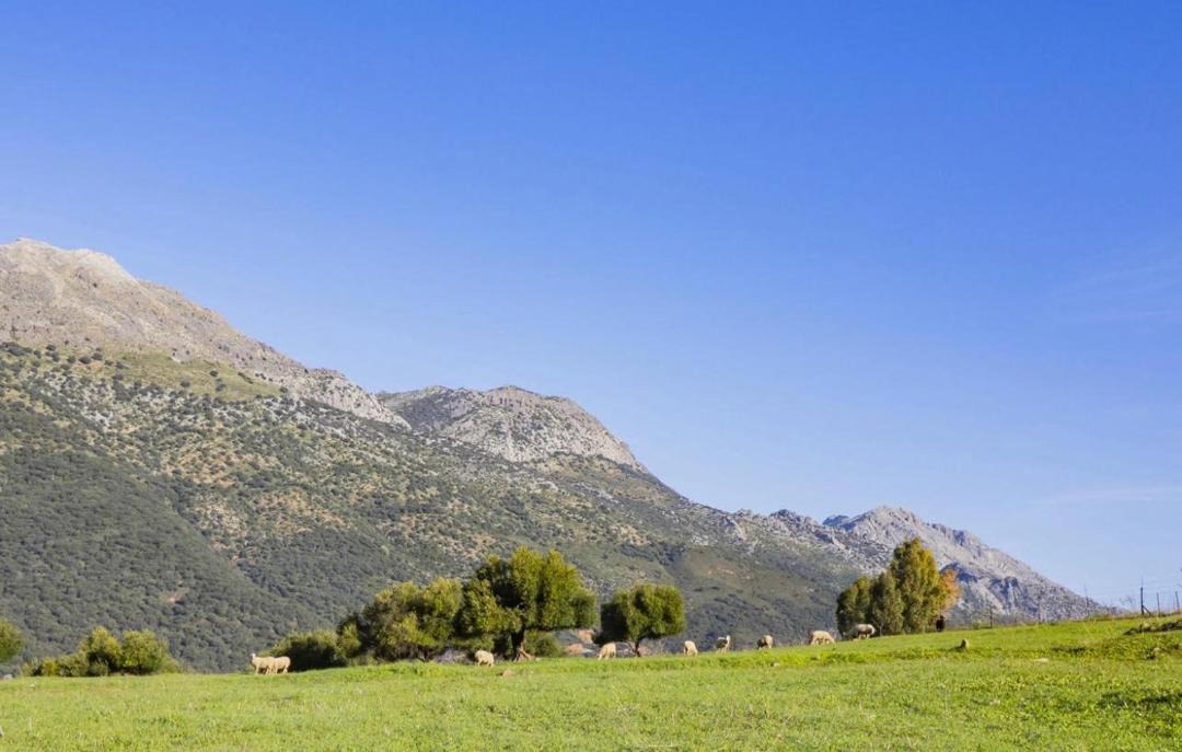 Photo of Others in Jimera de Libar