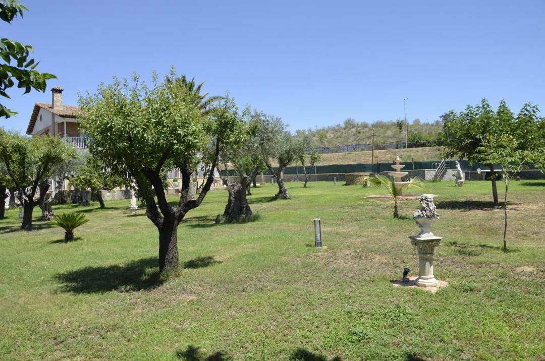 Photo of Others in Province of Toledo