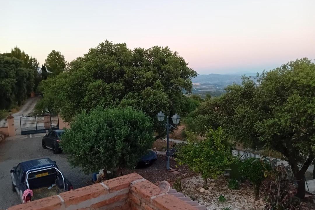Photo of Others in Alozaina
