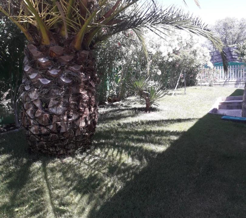 Photo of Others in El Casar de Escalona