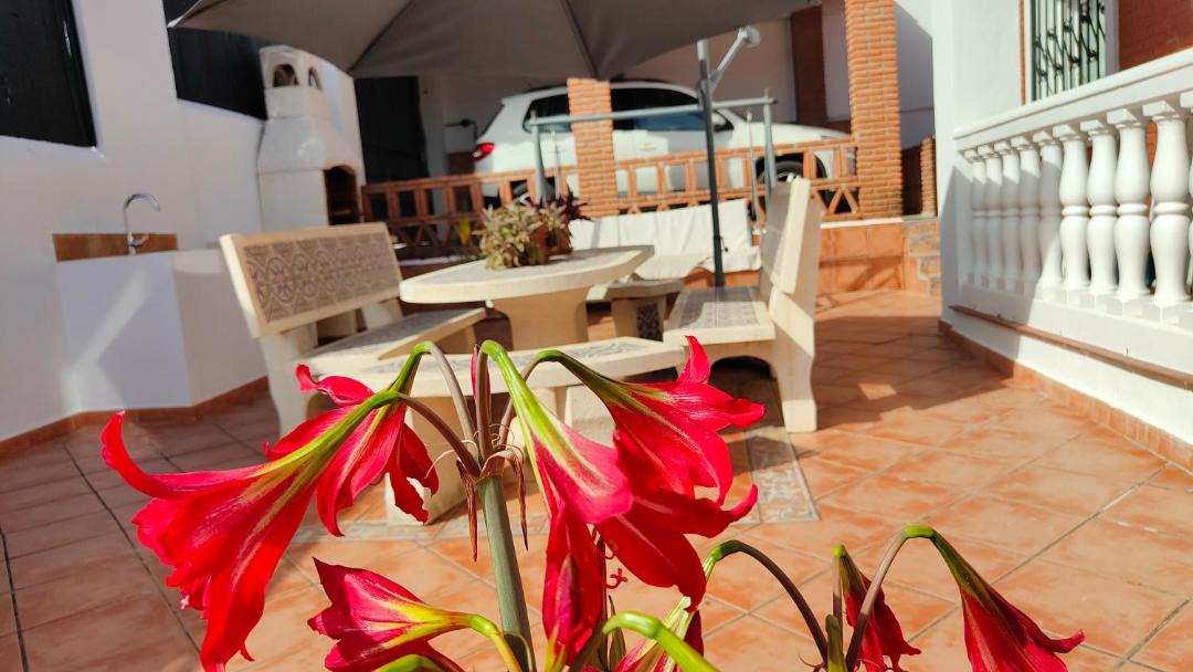 Photo of Patio Balcony in Alhaurin de la Torre