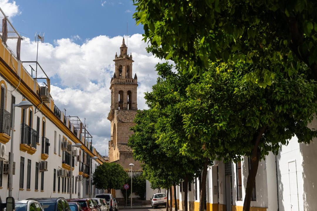 Photo of Others in Santiago