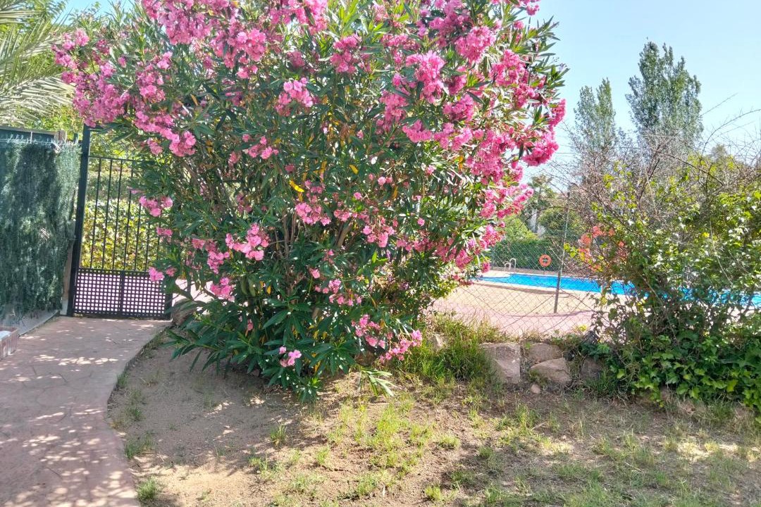 Photo of Others in Las Jaras