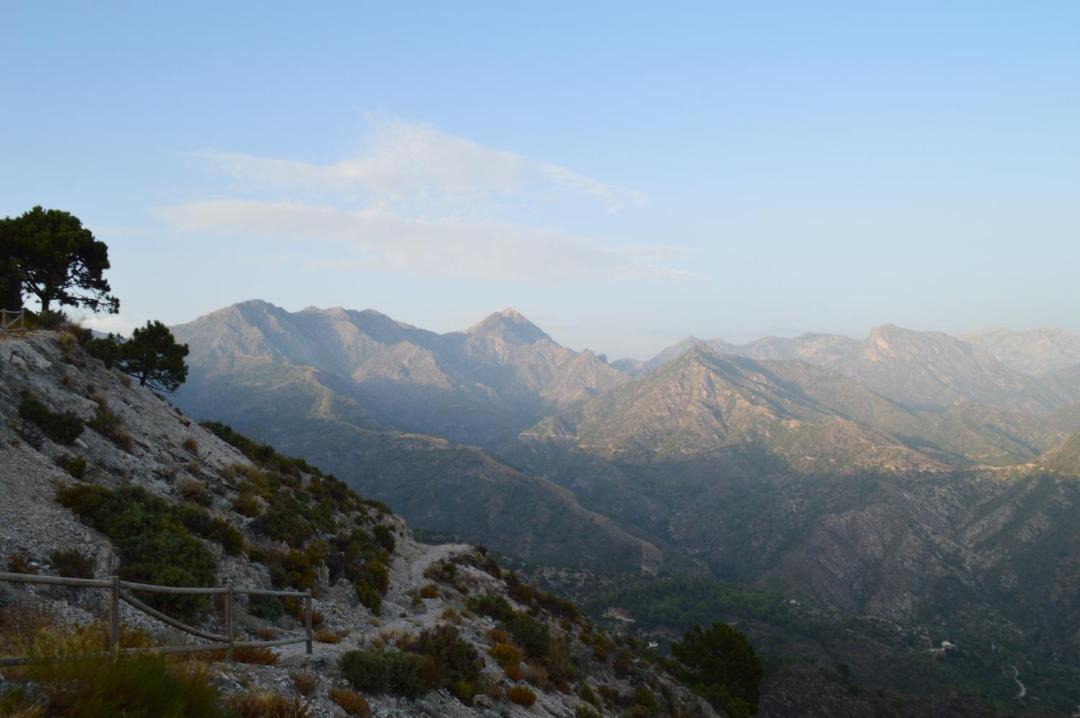 Photo of Others in Competa
