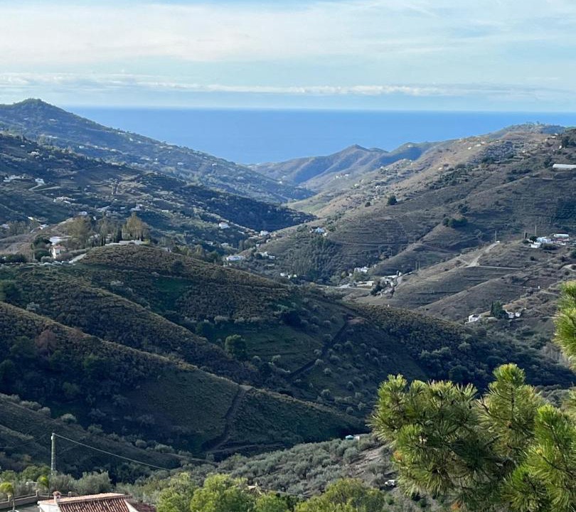 Photo of Others in Competa