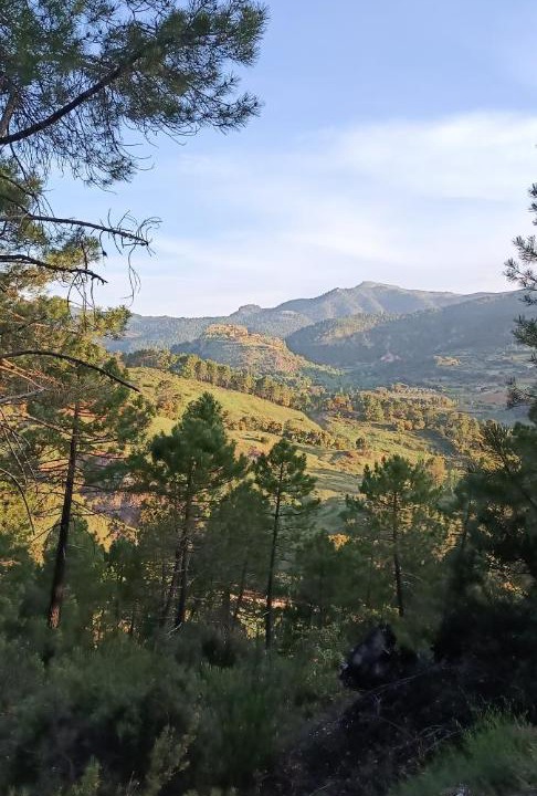 Photo of Others in Riopar