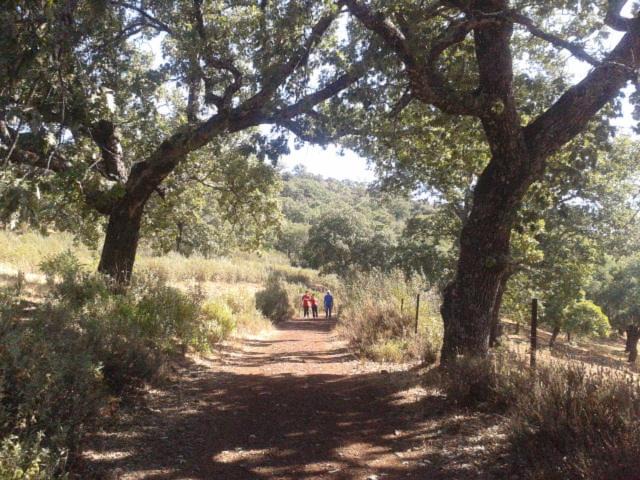 Photo of Others in Arroyomolinos de Leon