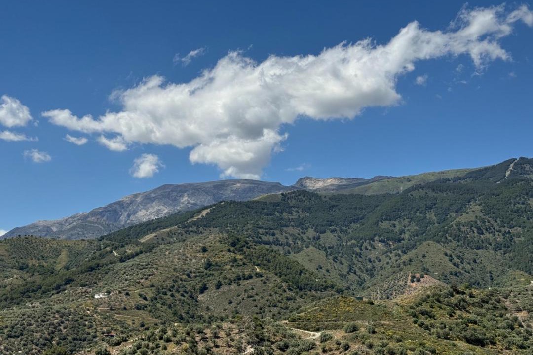Photo of Others in Canillas de Albaida