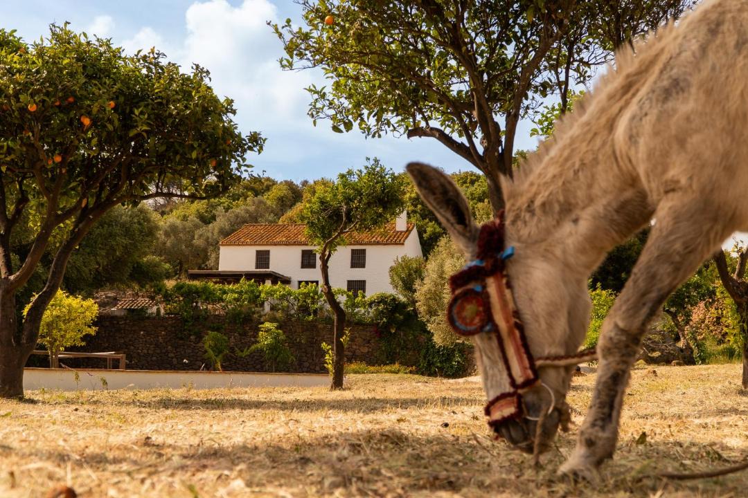 Photo of Others in Casares