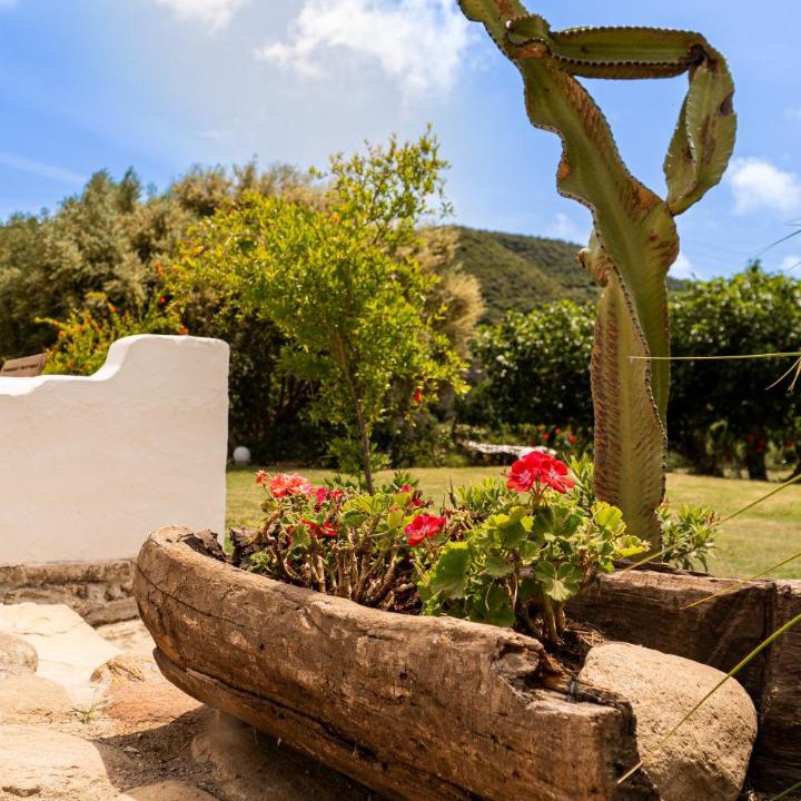 Photo of Others in Casares