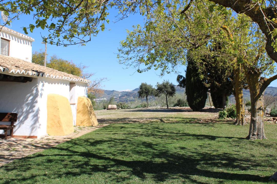 Photo of Others in Algarinejo