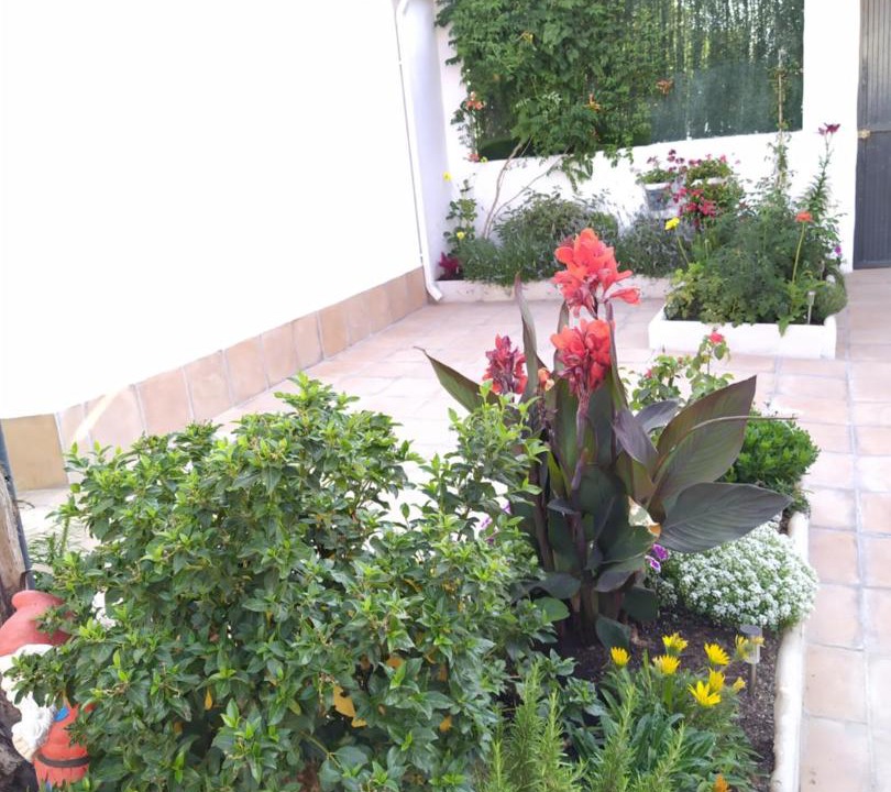 Photo of Others in Arenales de San Gregorio