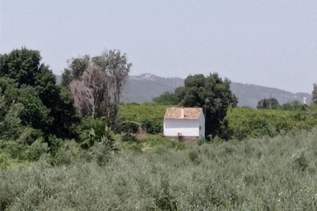 Photo of Others in Hornachuelos