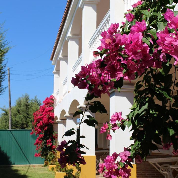 Photo of Others in Bolonia