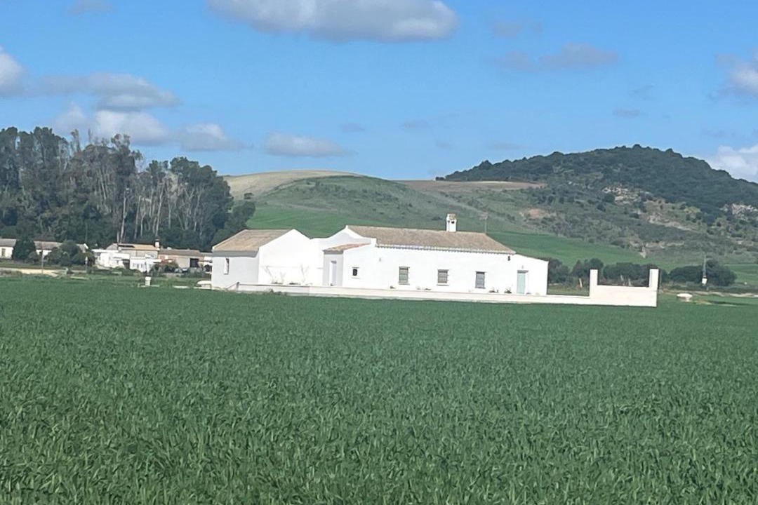 Photo of Buildings in Arcos de la Frontera