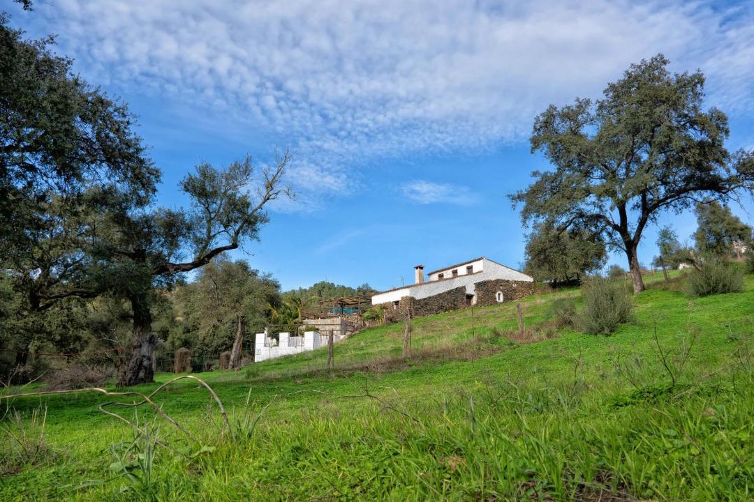 Photo of Others in La Corte