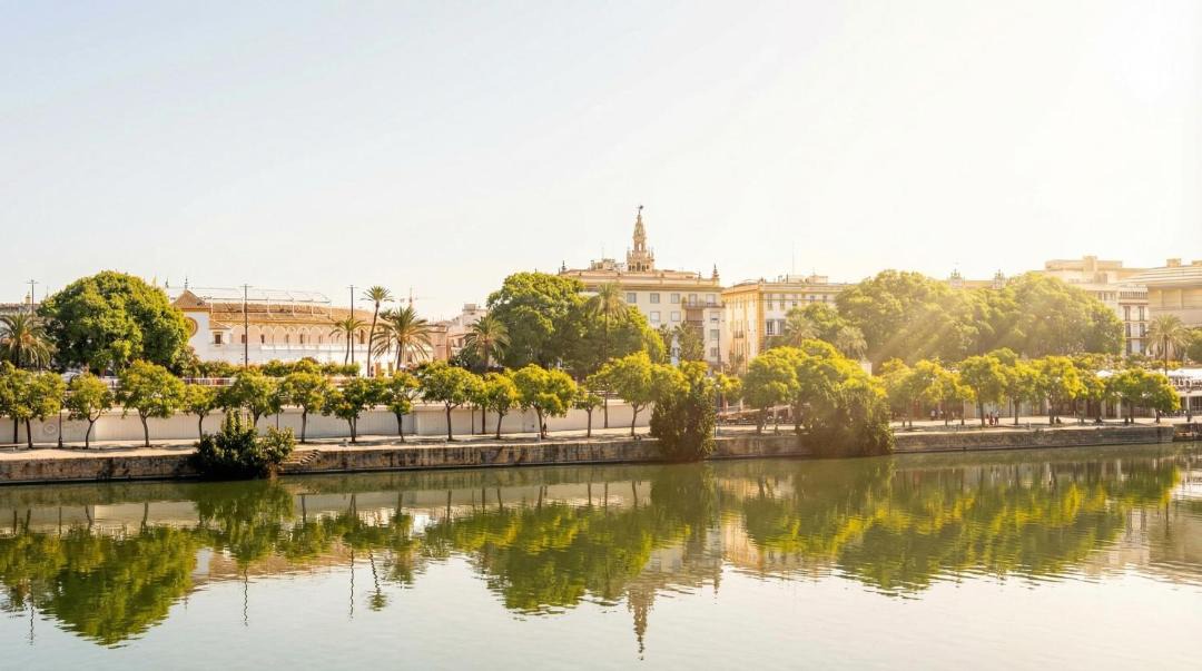 Photo of Others in Triana