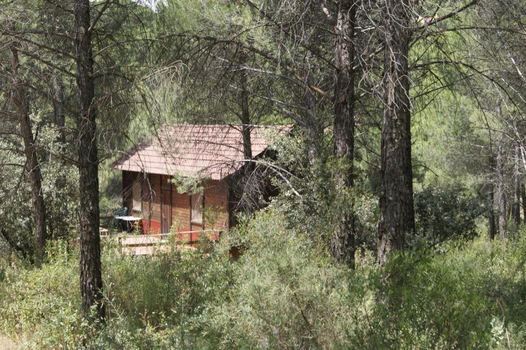 Photo of Others in Andujar
