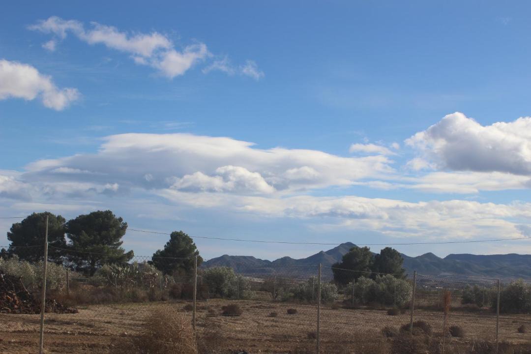Photo of Others in Huercal-Overa