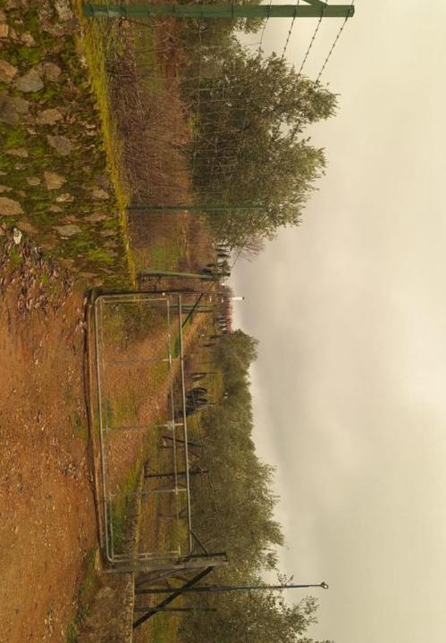 Photo of Others in Cazalla De La Sierra