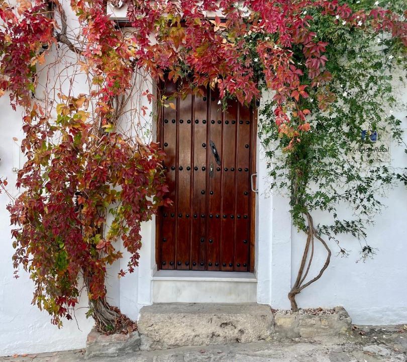 Photo of Others in Grazalema
