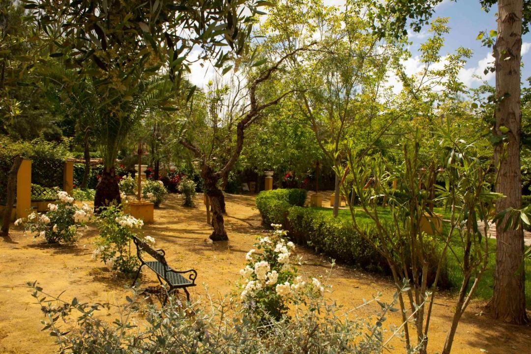 Photo of Others in Cazalla De La Sierra