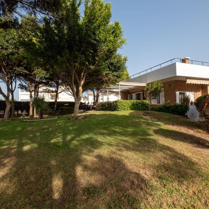 Photo of Others in Ayamonte