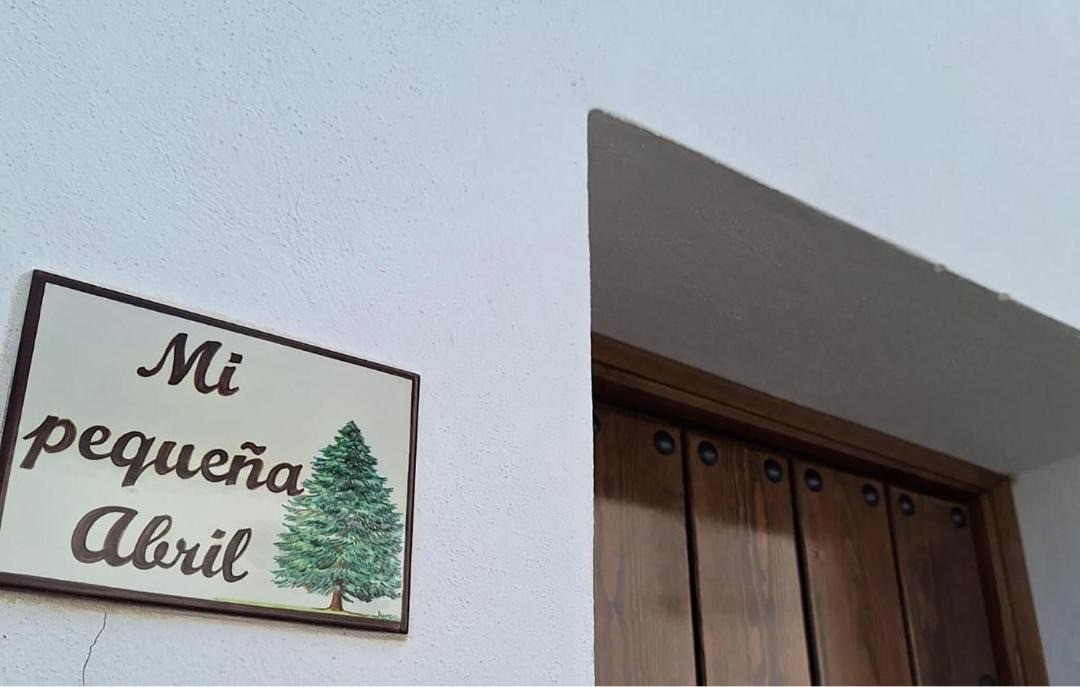 Photo of Others in Grazalema