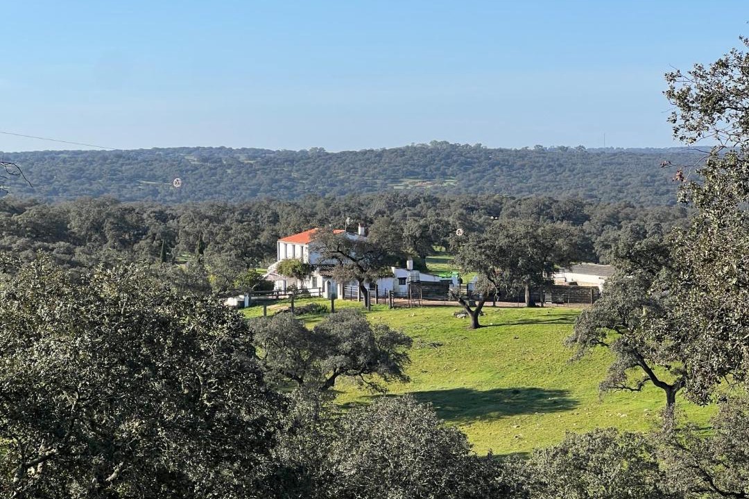 Photo of Others in Santa Olalla del Cala