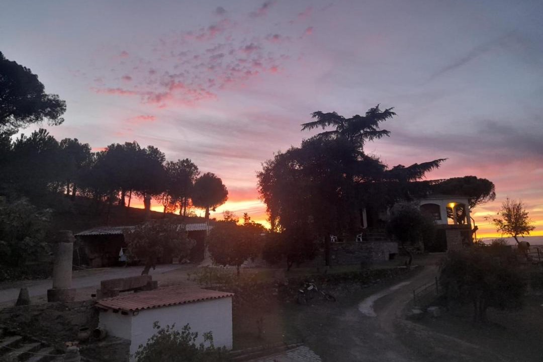 Photo of Others in Oropesa