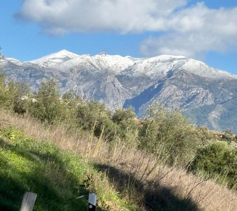 Photo of Others in Periana