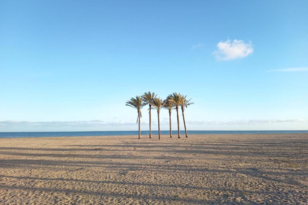 Photo of Others in Roquetas de Mar