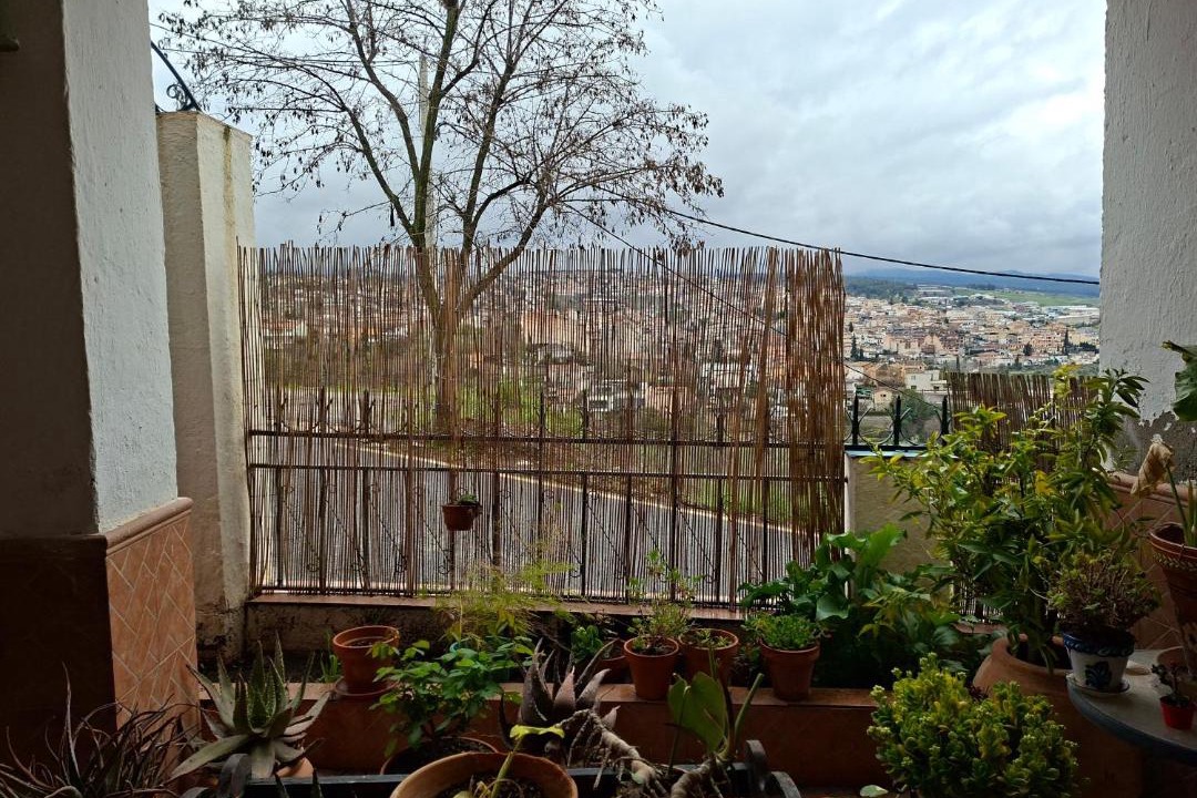 Photo of Others in Barrio de la Vega