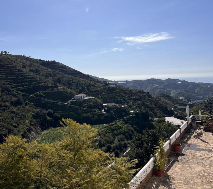 Photo of Others in Arenas