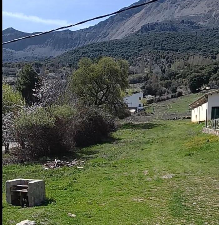 Photo of Others in Torres