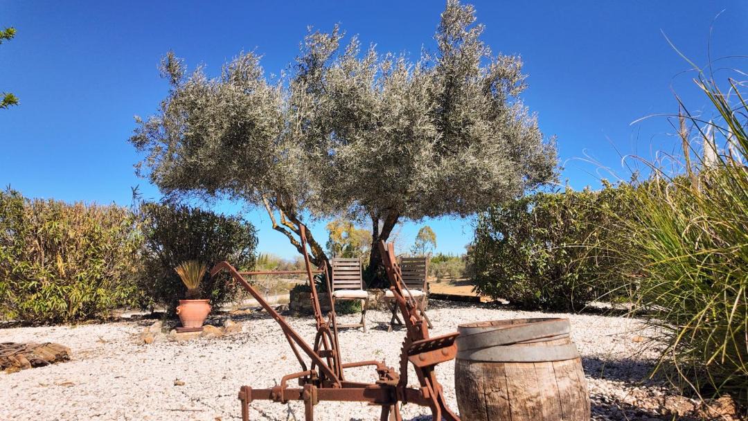 Photo of Outdoor in Villanueva de Tapia