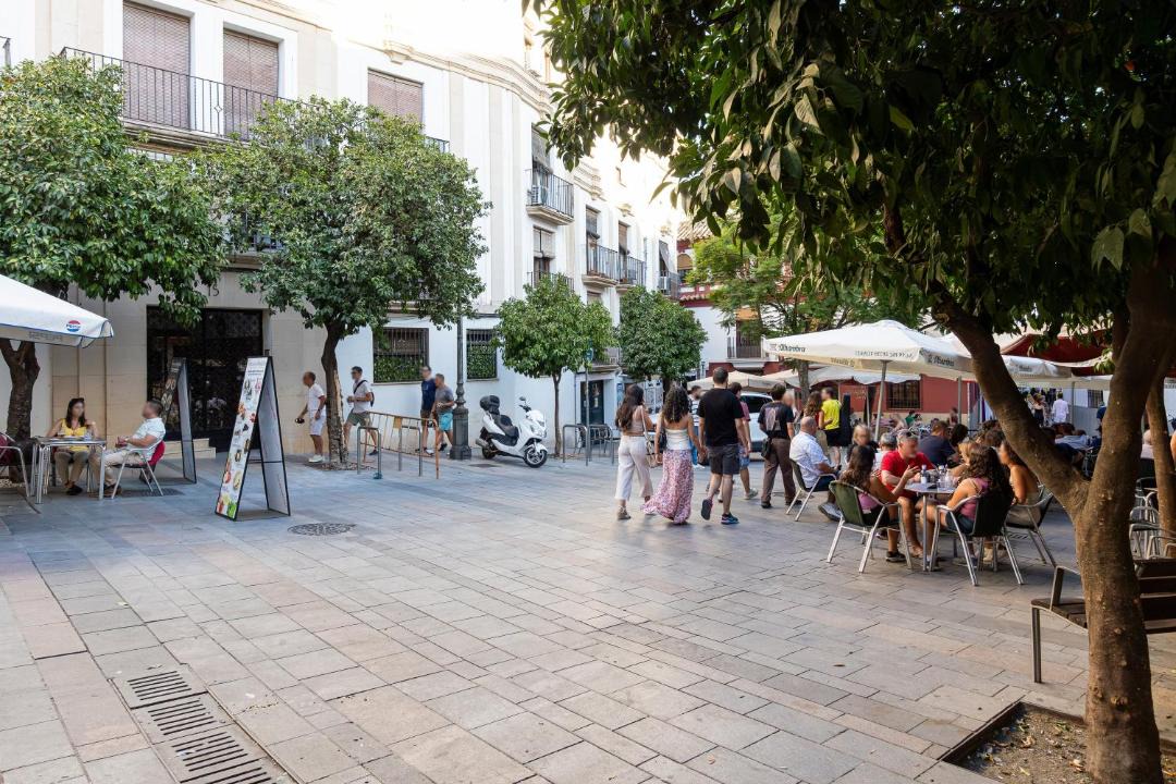 Photo of Others in La Catedral