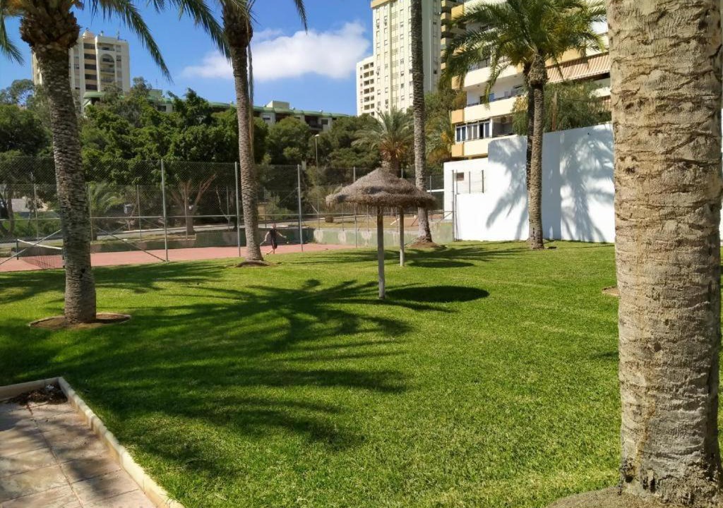 Photo of Others in Aguadulce