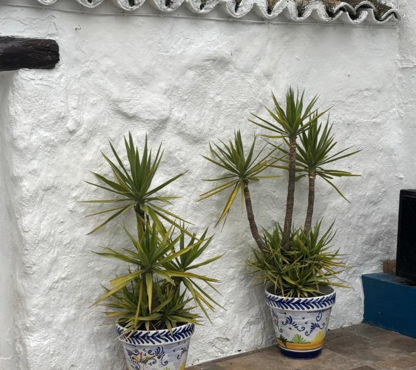 Photo of Others in Villanueva de San Juan