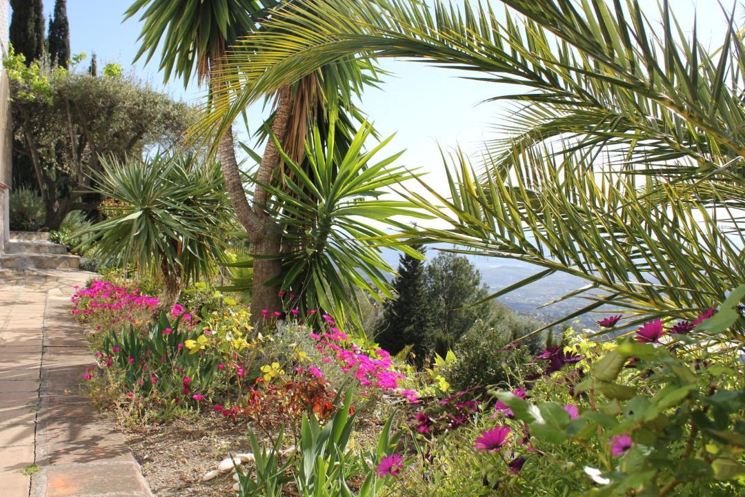 Photo of Others in Los Cortijillos