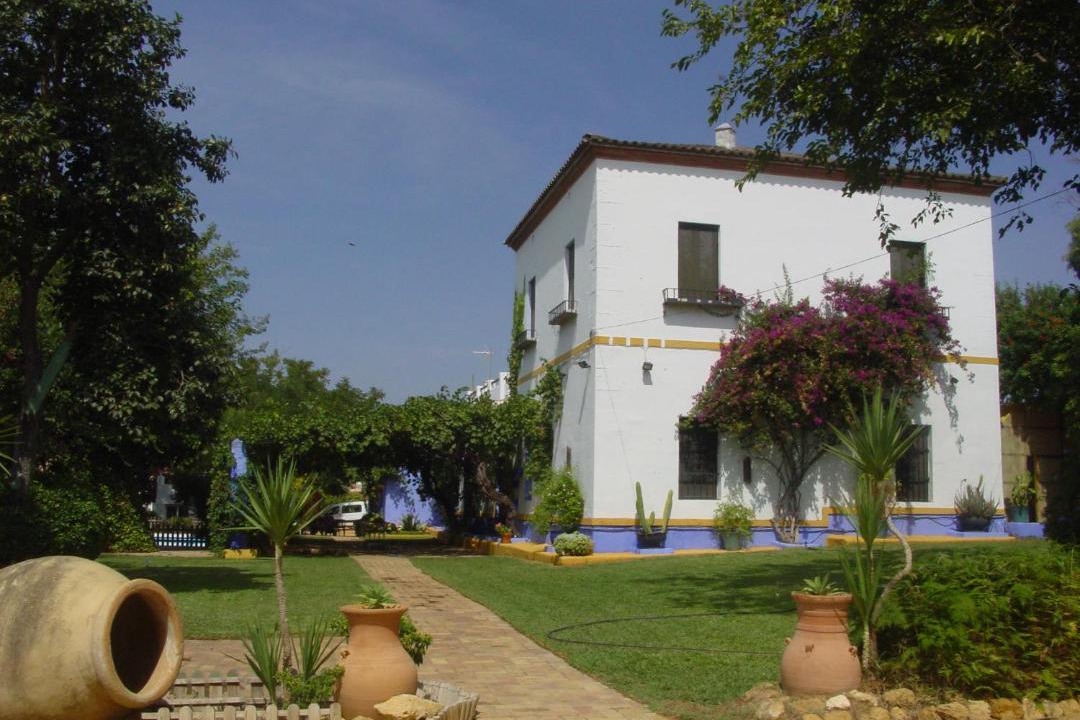 Photo of Others in Mairena del Alcor