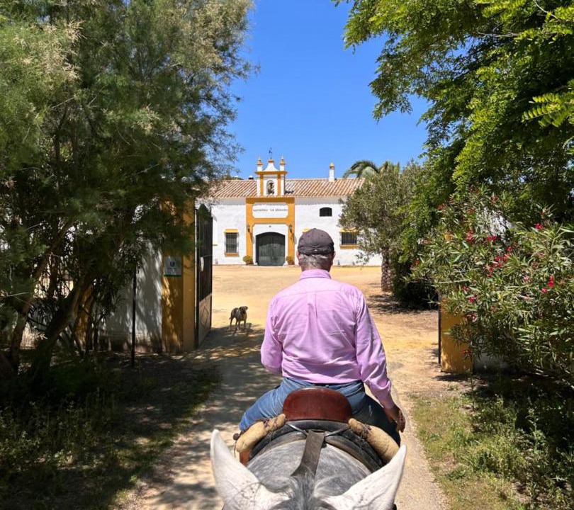 Photo of Others in Utrera