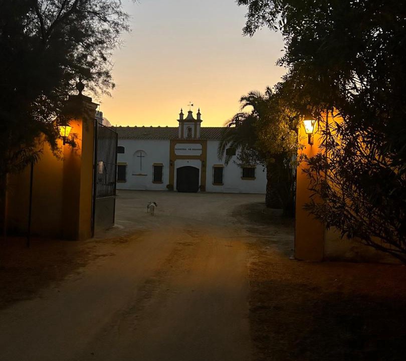 Photo of Others in Utrera