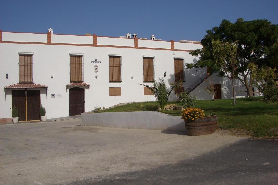 Photo of Others in Moriles