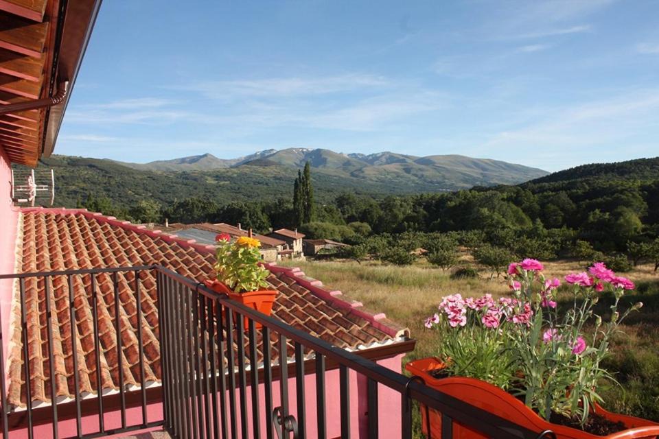 Photo of Others in Lancharejo