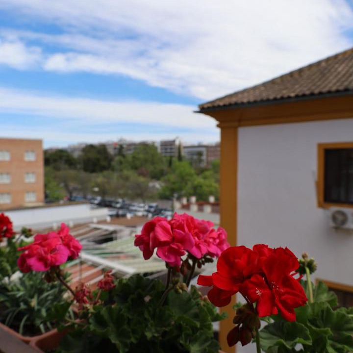 Photo of Others in Ciudad Jardin
